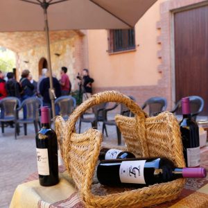 Visita al celler